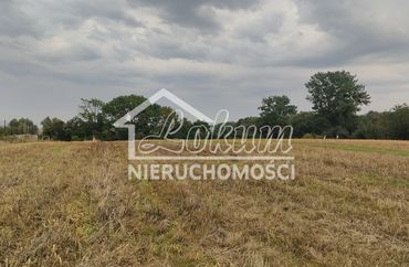 15882956 - zdjęcie ogłoszenia