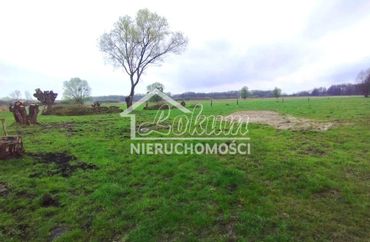 15883678 - zdjęcie ogłoszenia