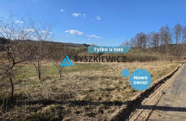 15884042 - zdjęcie ogłoszenia