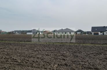 15888056 - zdjęcie ogłoszenia