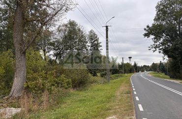 15891103 - zdjęcie ogłoszenia