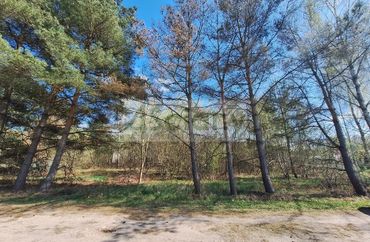 15891347 - zdjęcie ogłoszenia