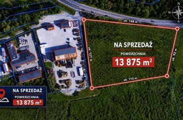 15902540 - zdjęcie ogłoszenia