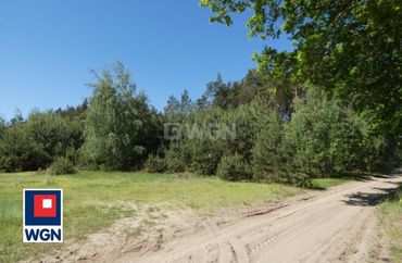 15905000 - zdjęcie ogłoszenia