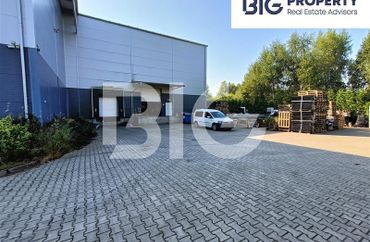 15911711 - zdjęcie ogłoszenia