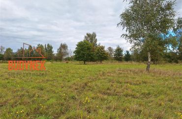 15915432 - zdjęcie ogłoszenia