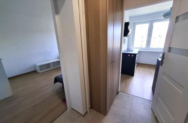 15919314 - zdjęcie ogłoszenia