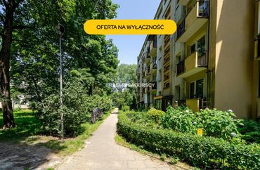 15925660 - zdjęcie ogłoszenia