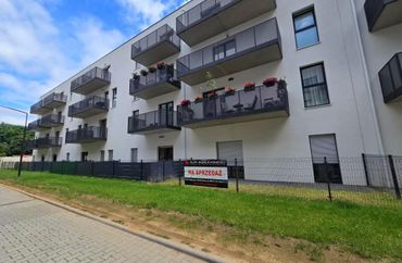 15936431 - zdjęcie ogłoszenia