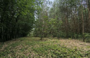 15951489 - zdjęcie ogłoszenia