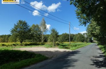 15953170 - zdjęcie ogłoszenia