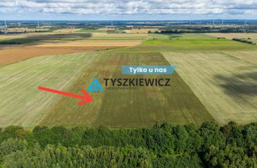 15954541 - zdjęcie ogłoszenia