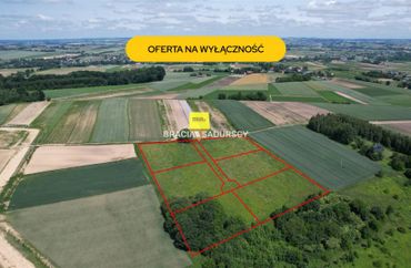 15954848 - zdjęcie ogłoszenia