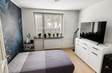 15955007 - zdjęcie ogłoszenia