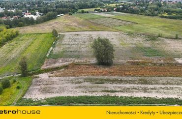 15955130 - zdjęcie ogłoszenia