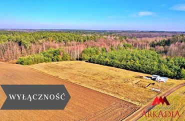 15957902 - zdjęcie ogłoszenia