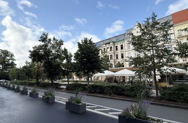 15959624 - zdjęcie ogłoszenia