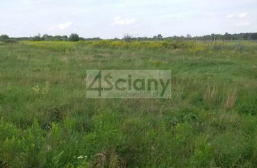 15959909 - zdjęcie ogłoszenia