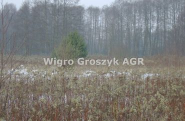 15960126 - zdjęcie ogłoszenia