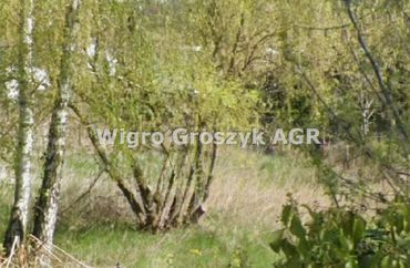 15960128 - zdjęcie ogłoszenia