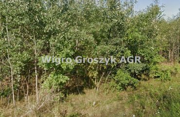 15960129 - zdjęcie ogłoszenia