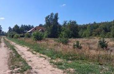 15960490 - zdjęcie ogłoszenia