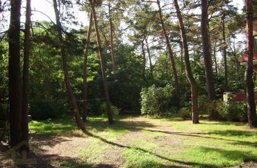 15960767 - zdjęcie ogłoszenia