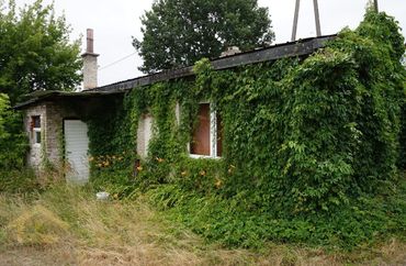 15960777 - zdjęcie ogłoszenia