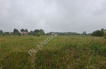 15960863 - zdjęcie ogłoszenia