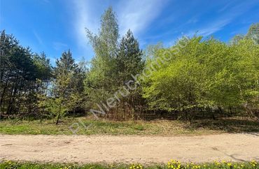 15961085 - zdjęcie ogłoszenia