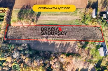 15961451 - zdjęcie ogłoszenia