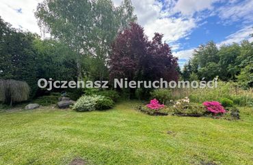 15961462 - zdjęcie ogłoszenia