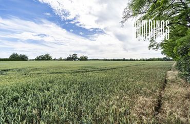 15961500 - zdjęcie ogłoszenia