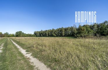 15961511 - zdjęcie ogłoszenia