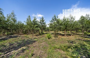 15961537 - zdjęcie ogłoszenia