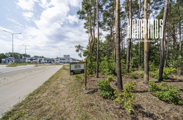 15961545 - zdjęcie ogłoszenia