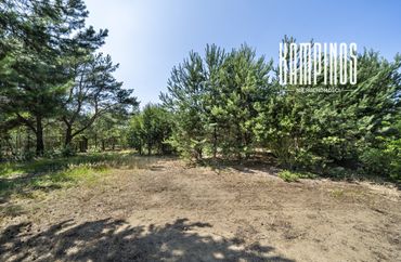 15961578 - zdjęcie ogłoszenia