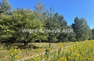 15961617 - zdjęcie ogłoszenia