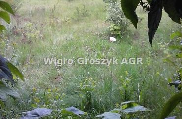 15961639 - zdjęcie ogłoszenia