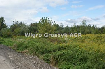15961640 - zdjęcie ogłoszenia
