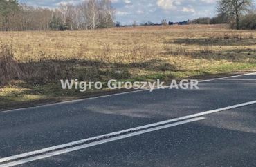 15961642 - zdjęcie ogłoszenia
