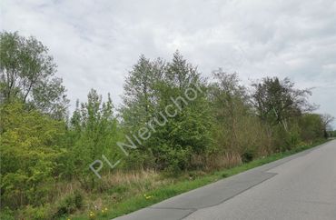 15961666 - zdjęcie ogłoszenia