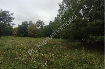 15961746 - zdjęcie ogłoszenia