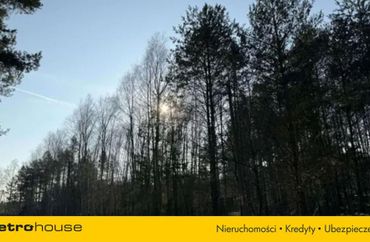 15961760 - zdjęcie ogłoszenia
