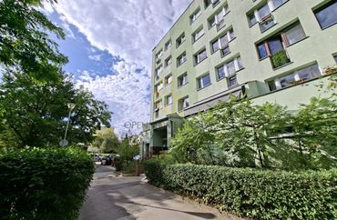 15961829 - zdjęcie ogłoszenia