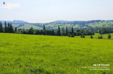 15961996 - zdjęcie ogłoszenia