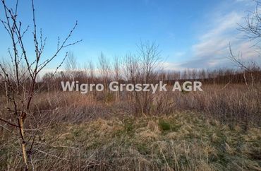 15962035 - zdjęcie ogłoszenia
