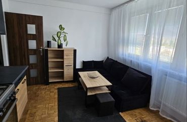 15962042 - zdjęcie ogłoszenia