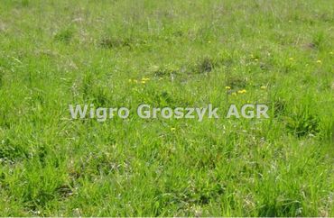 15962103 - zdjęcie ogłoszenia