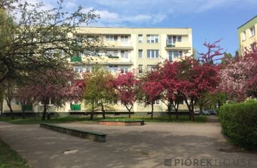 15962375 - zdjęcie ogłoszenia